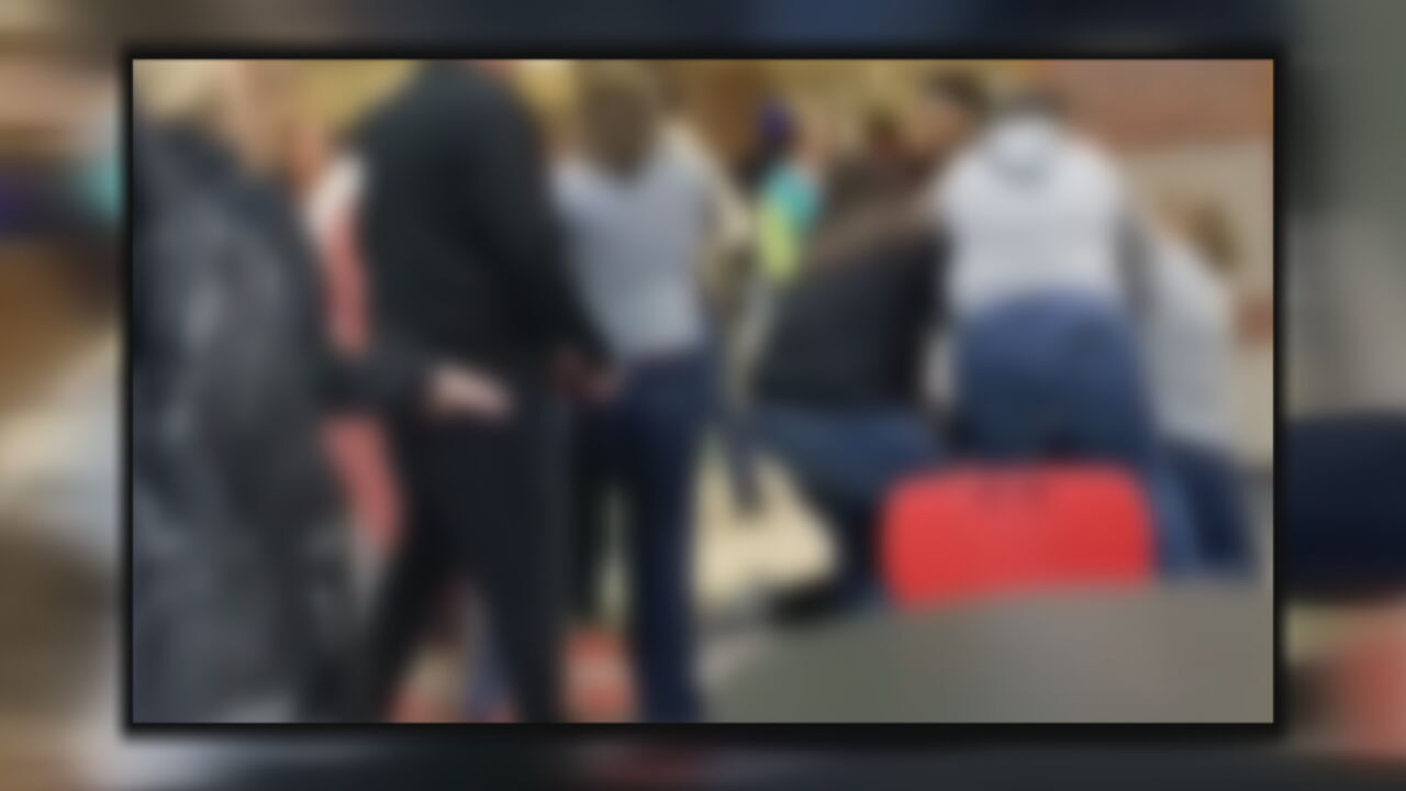 NAHS FIGHT VIDEO-Dec. 2022.jpeg